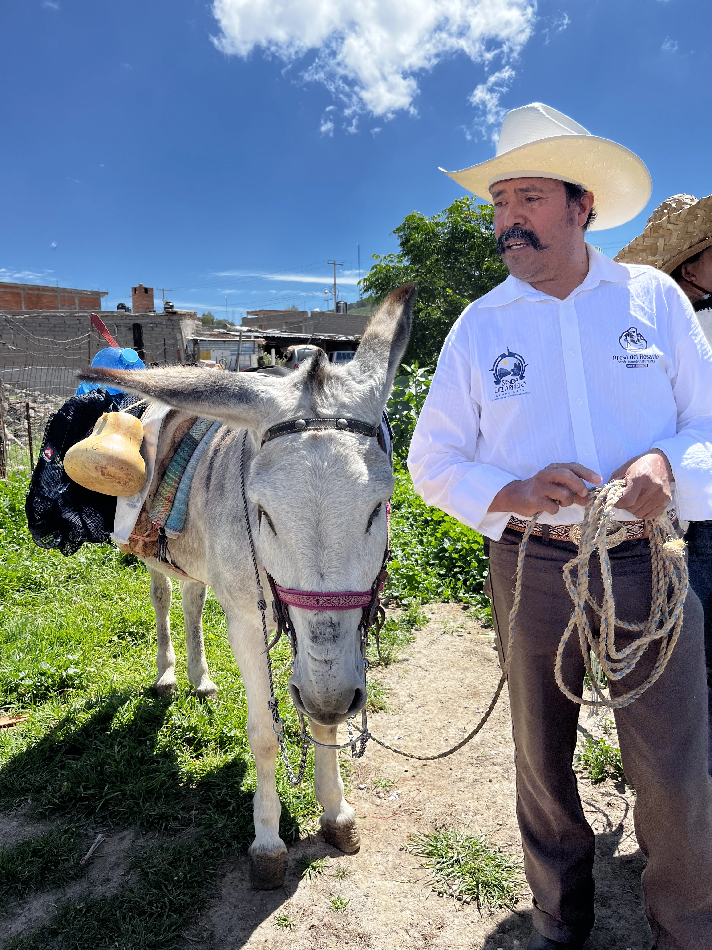 Burro de carga y arriero